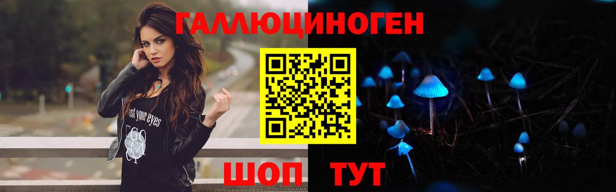 Кропоткин  Галлюциногенные грибы MAGIC MUSHROOMS  Вход с VPN 